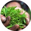 產(chǎn)品
